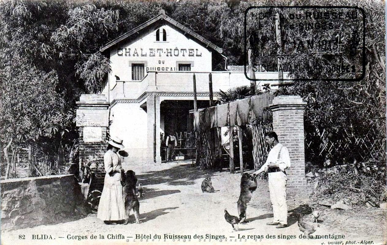 837- Blida - Gorges de la Chiffa - Hotel.jpg